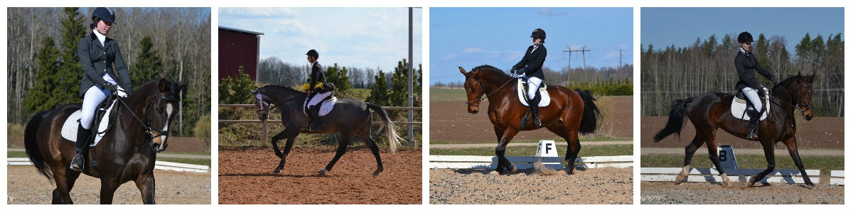 Ecu Spring Dressage tulemused